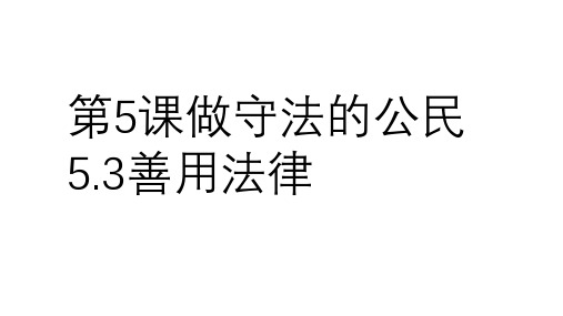 部编版八年级上册道德与法治善用法律