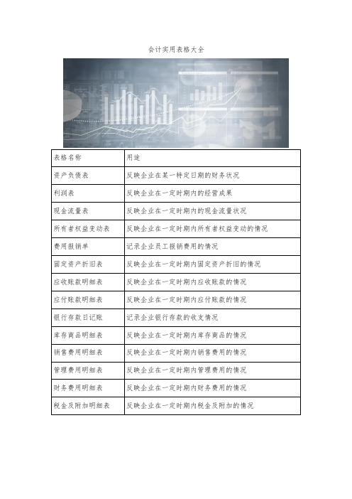 会计实用表格大全