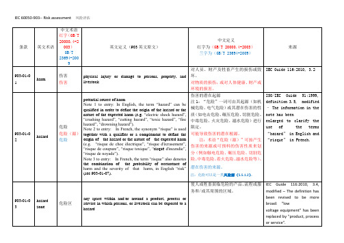 IEC 60050-903风险评估风险评估(译文)