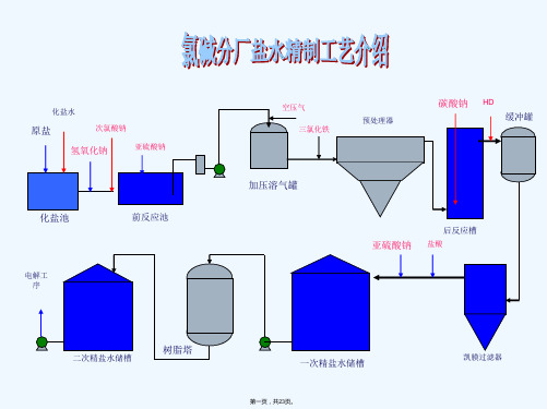 氯碱工艺培训ppt