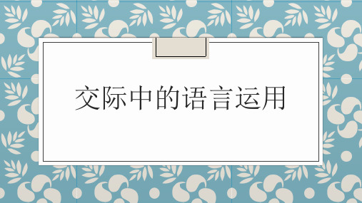 交际中的语言运用