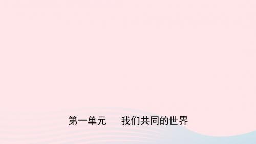 福建省2019年中考道德与法治总复习九下第一单元我们共同的世界课件