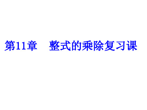 青岛版七年级数学下册 第11章  整式的乘除 复习 讲义设计(无答案)