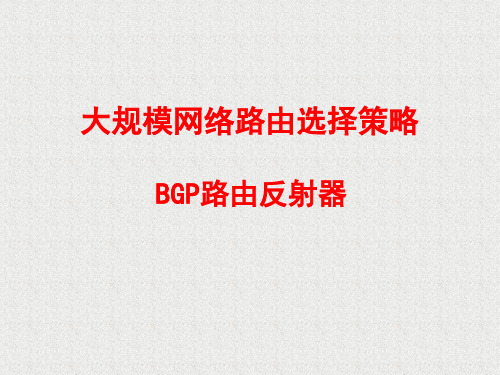 bgp反射器..