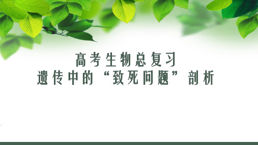 [优选]高考生物总复习之遗传中“致死问题”剖析精品PPT公开课PPT