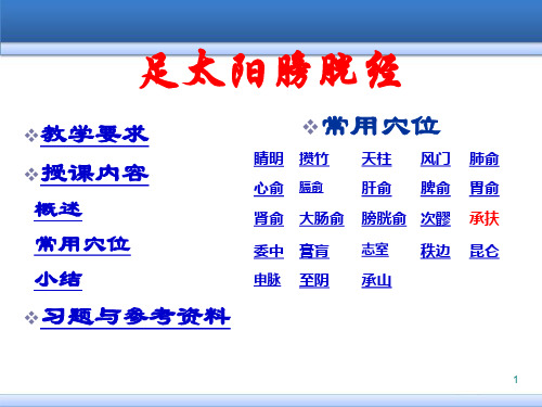 足太阳膀胱经医学PPT课件