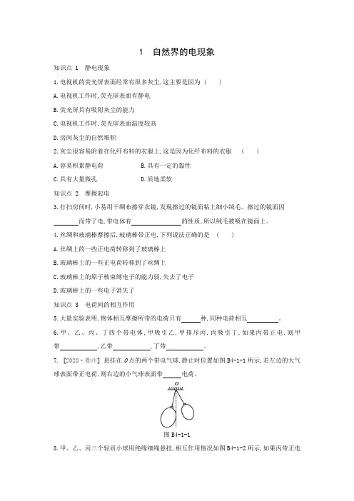 华东师大版科学八年级下册课时练习   4.1 自然界的电现象