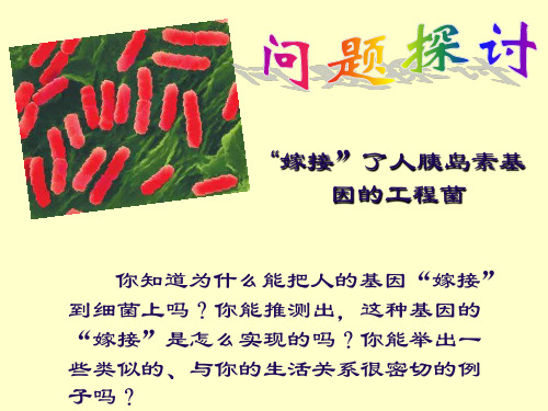 --必修二生物第6章第二节基因工程及其应用