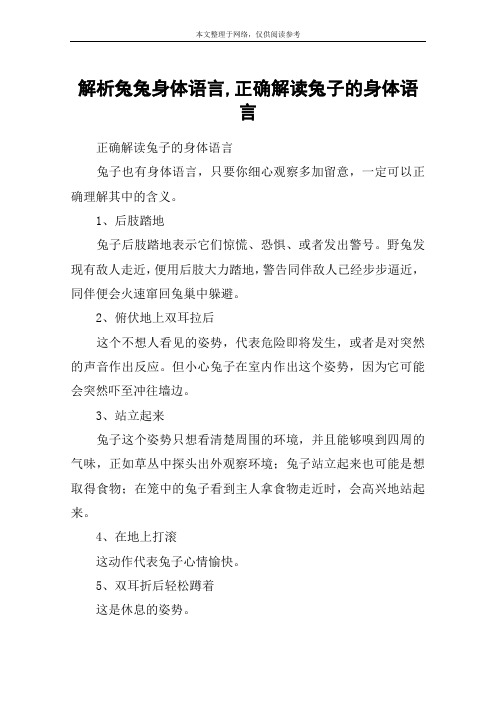 解析兔兔身体语言,正确解读兔子的身体语言