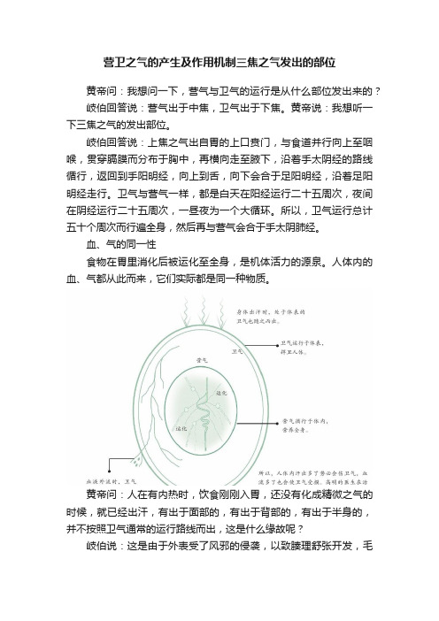 营卫之气的产生及作用机制三焦之气发出的部位