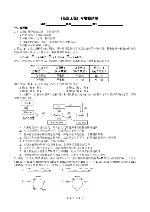 高中生物基因工程专题测试卷含答案