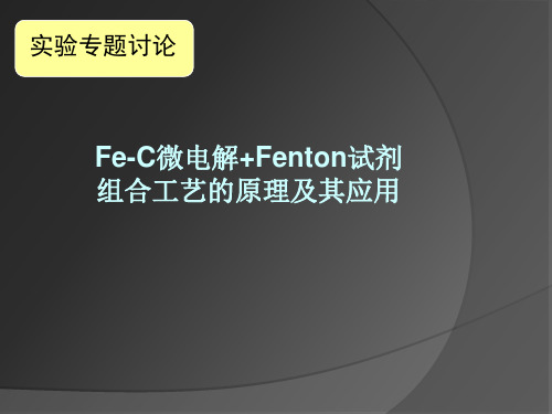 Fe-C微电解+Fenton试剂组合工艺的原理及其应用-文档资料