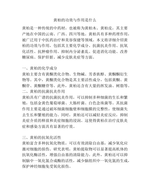 黄柏的功效与作用是什么