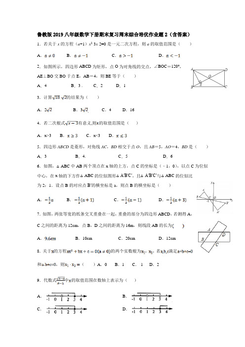 鲁教版2019八年级数学下册期末复习周末综合培优作业题2(含答案)