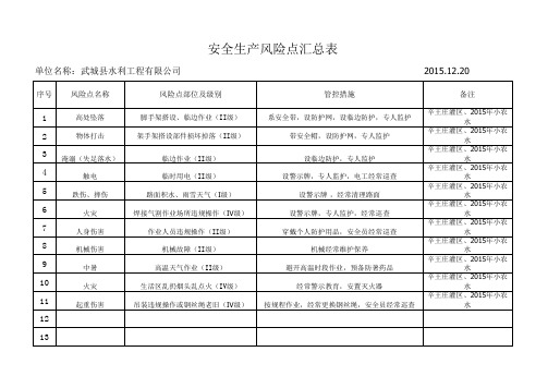 151617风险点、隐患排查表