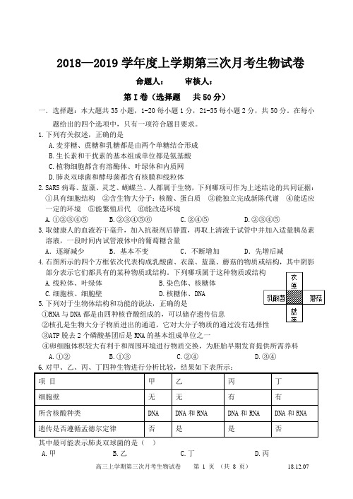 一中2018-2019学年度高三上学期第三次练习卷