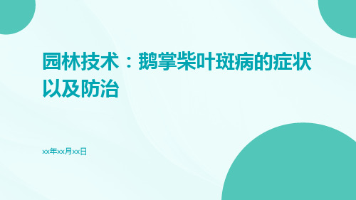 园林技术：鹅掌柴叶斑病的症状以及防治