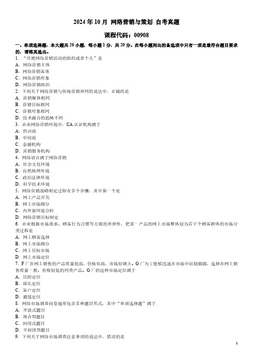 2024年10月 网络营销与策划(00908)自考真题