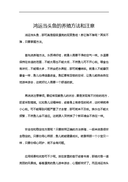 鸿运当头鱼的养殖方法和注意