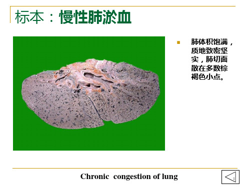 病理学实验大体标本+有病理诊断