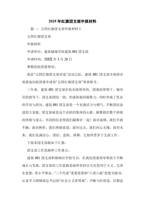 2019年红旗团支部申报材料.doc