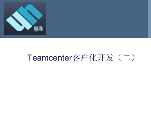 Teamcenter8.1java开发培训(2)