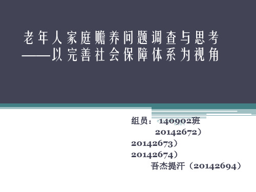 老年人家庭赡养问题调查与思考 ppt课件