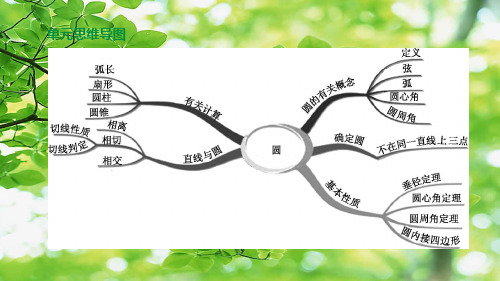 中考数学复习方案 第六单元 圆 第24课时 圆的有关概念与性质数学课件