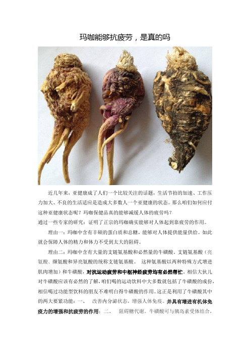 玛咖抗疲劳是真的吗