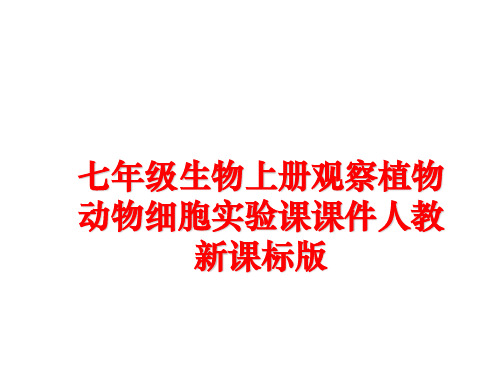 最新七年级生物上册观察植物动物细胞实验课课件人教新课标版