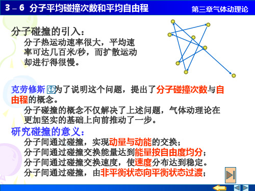 分子动理论 分子平均碰撞次数和自由程