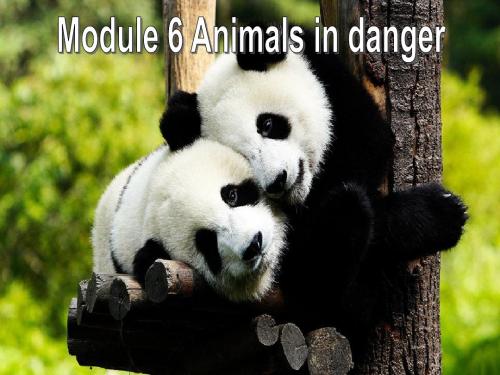 八年级上Module6 Animals in danger