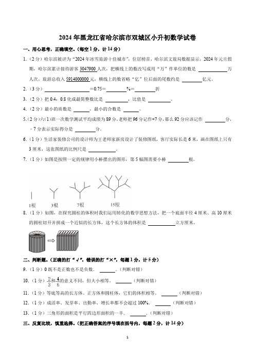 2024年黑龙江省哈尔滨市双城区小升初数学试卷