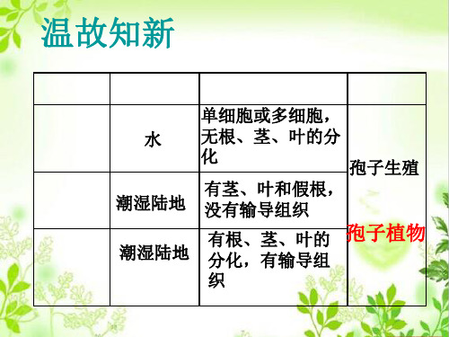 人教版生物七上第三单元第一章第二节种子植物课件(共34张PPT)