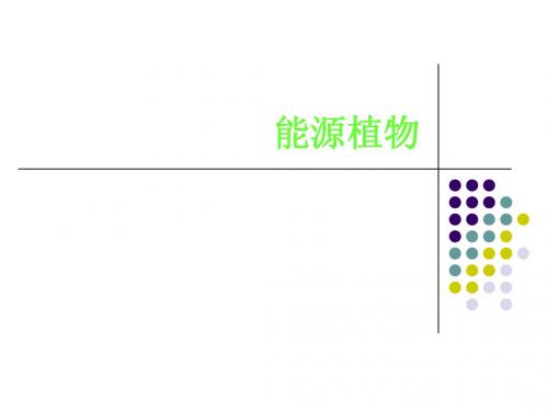 能源植物