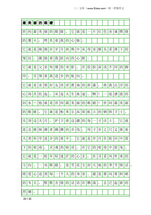 初一抒情作文：最美丽的眼睛