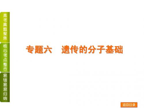 2014届高考生物二轮复习权威课件(全国卷地区专用):专题六 遗传的分子基础