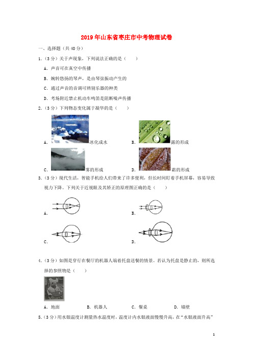 山东省枣庄市2019年中考物理真题试题(含解析)