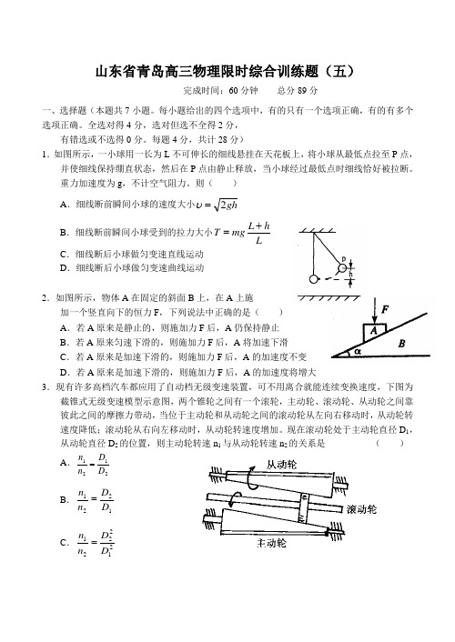 山东省青岛高三物理限时综合训练题(五)