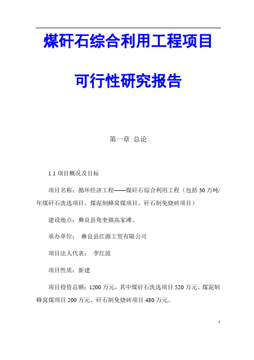 煤矸石综合利用工程项目可行性研究报告