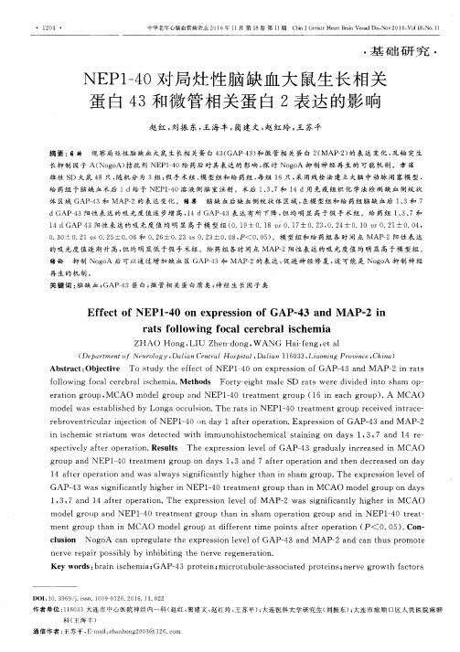 NEP1-40对局灶性脑缺血大鼠生长相关蛋白43和微管相关蛋白2表达的影响