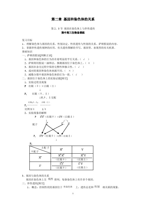 基因和染色体的关系(附答案)