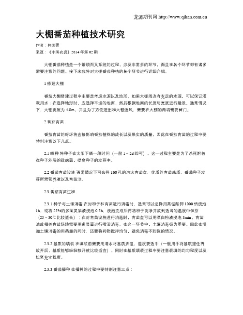 大棚番茄种植技术研究