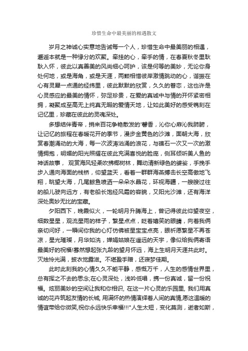 珍惜生命中最美丽的相遇散文