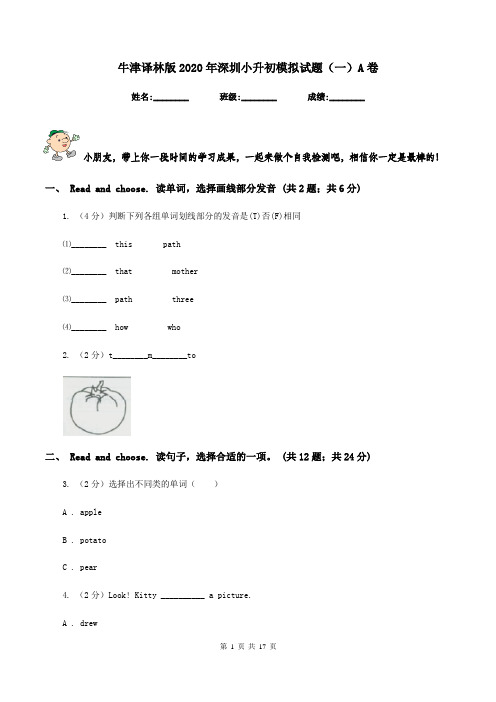 牛津译林版2020年深圳小升初模拟试题(一)A卷