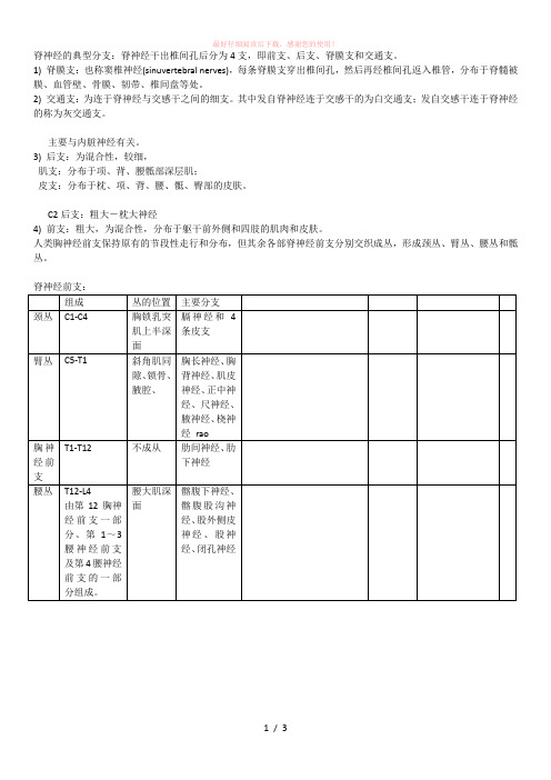 脊神经的典型分支