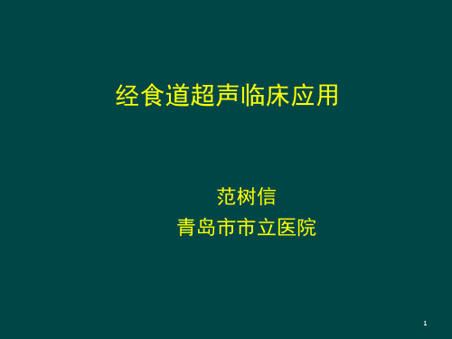 食道超声课件