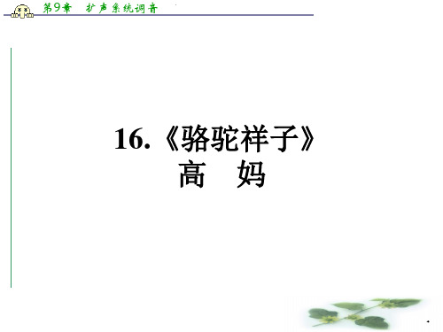 高二语文人教选修《中国小说欣赏》课件： 8.16《骆驼祥子》高妈