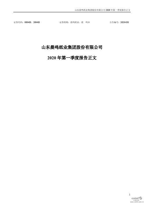 晨鸣纸业：2020年第一季度报告正文