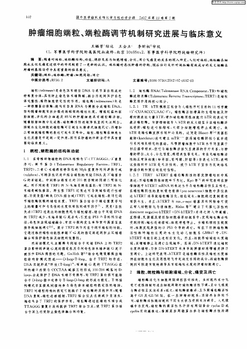 肿瘤细胞端粒、端粒酶调节机制研究进展与临床意义